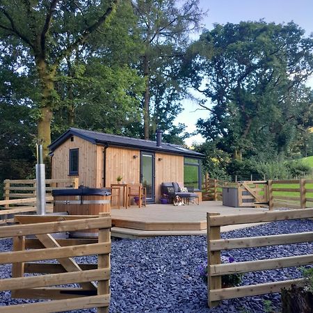 Ty Nant Gwenyn Villa Llanymawddwy Dış mekan fotoğraf