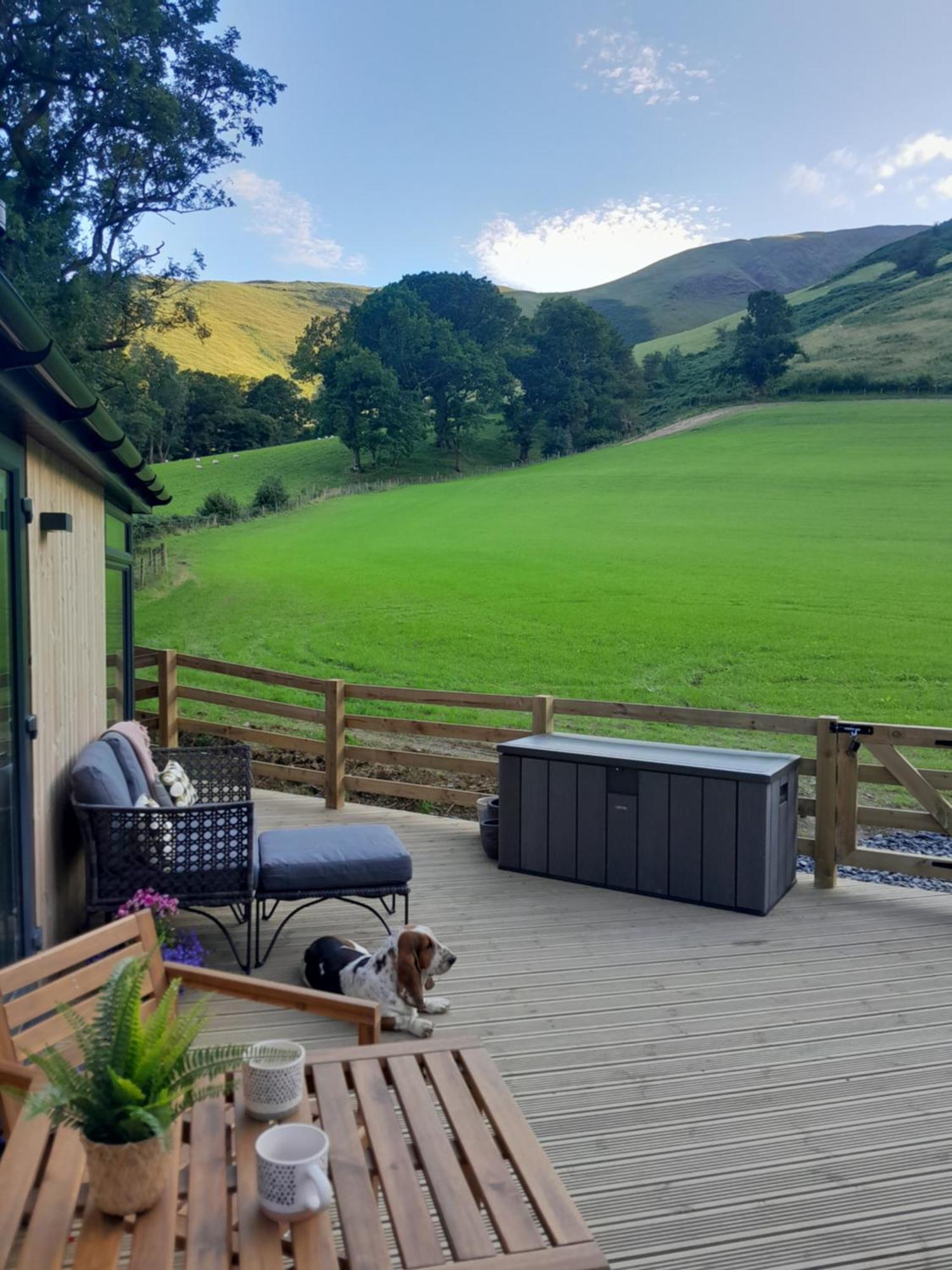 Ty Nant Gwenyn Villa Llanymawddwy Dış mekan fotoğraf